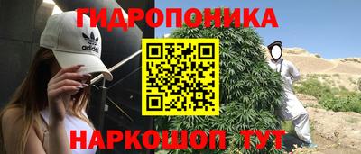 стаф Кулебаки
