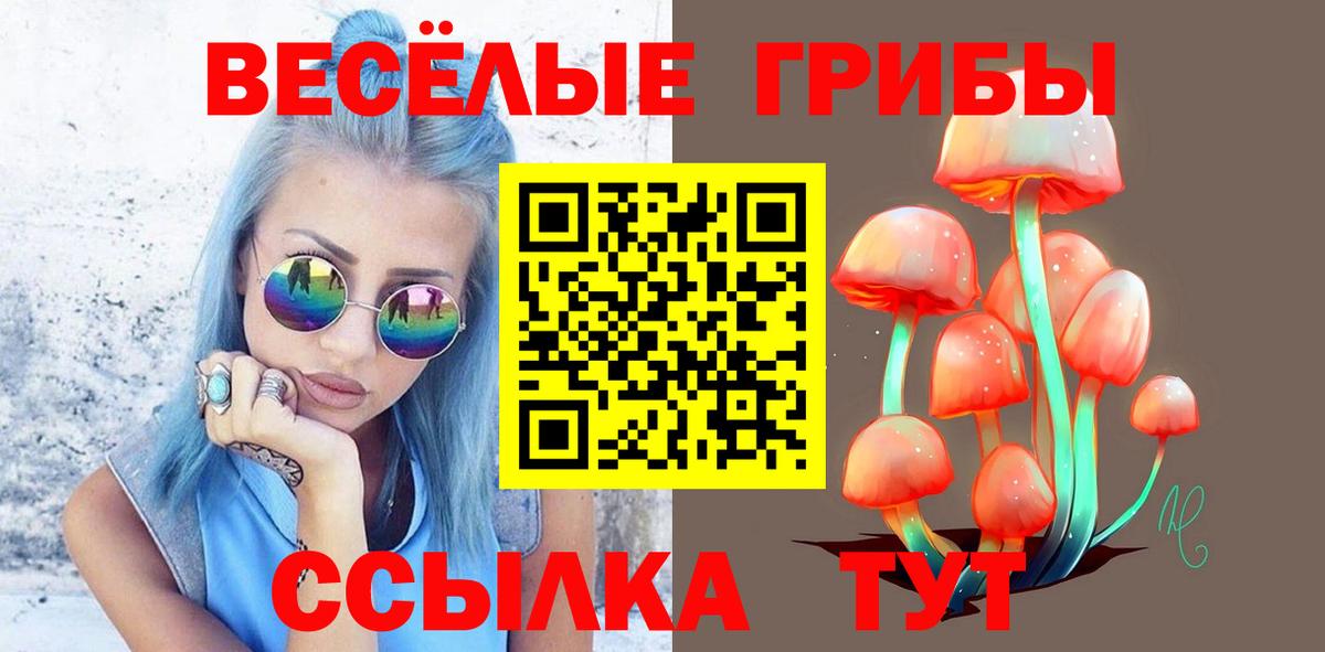 Псилоцибиновые грибы мицелий Карачаевск