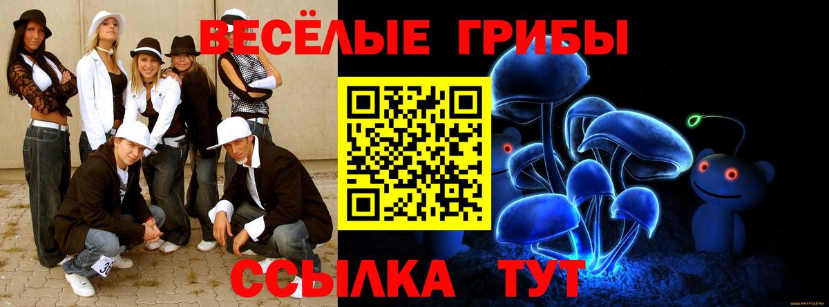 Карачаевск  Галлюциногенные грибы GOLDEN TEACHER  Вход с VPN 