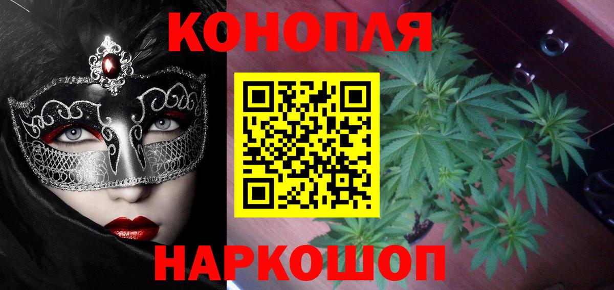 Шишки марихуана тримм Карачаевск